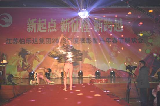 集团举行2013年度总结表彰大会