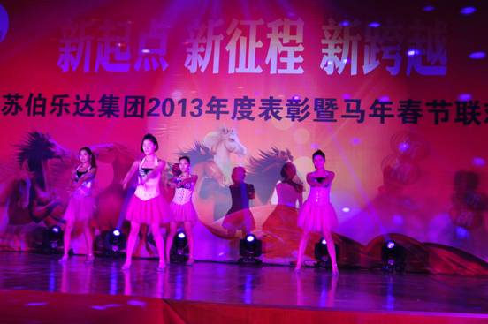 集团举行2013年度总结表彰大会
